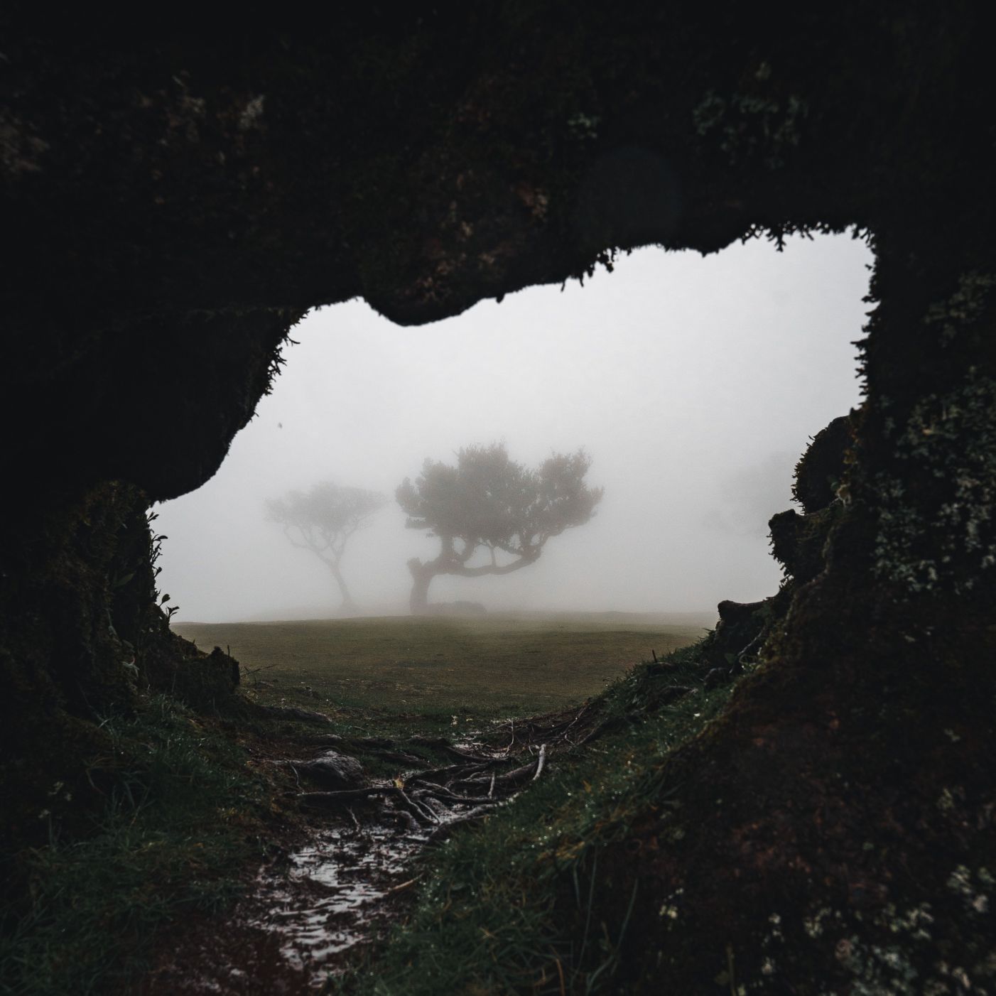 Cave looking over a foggy field