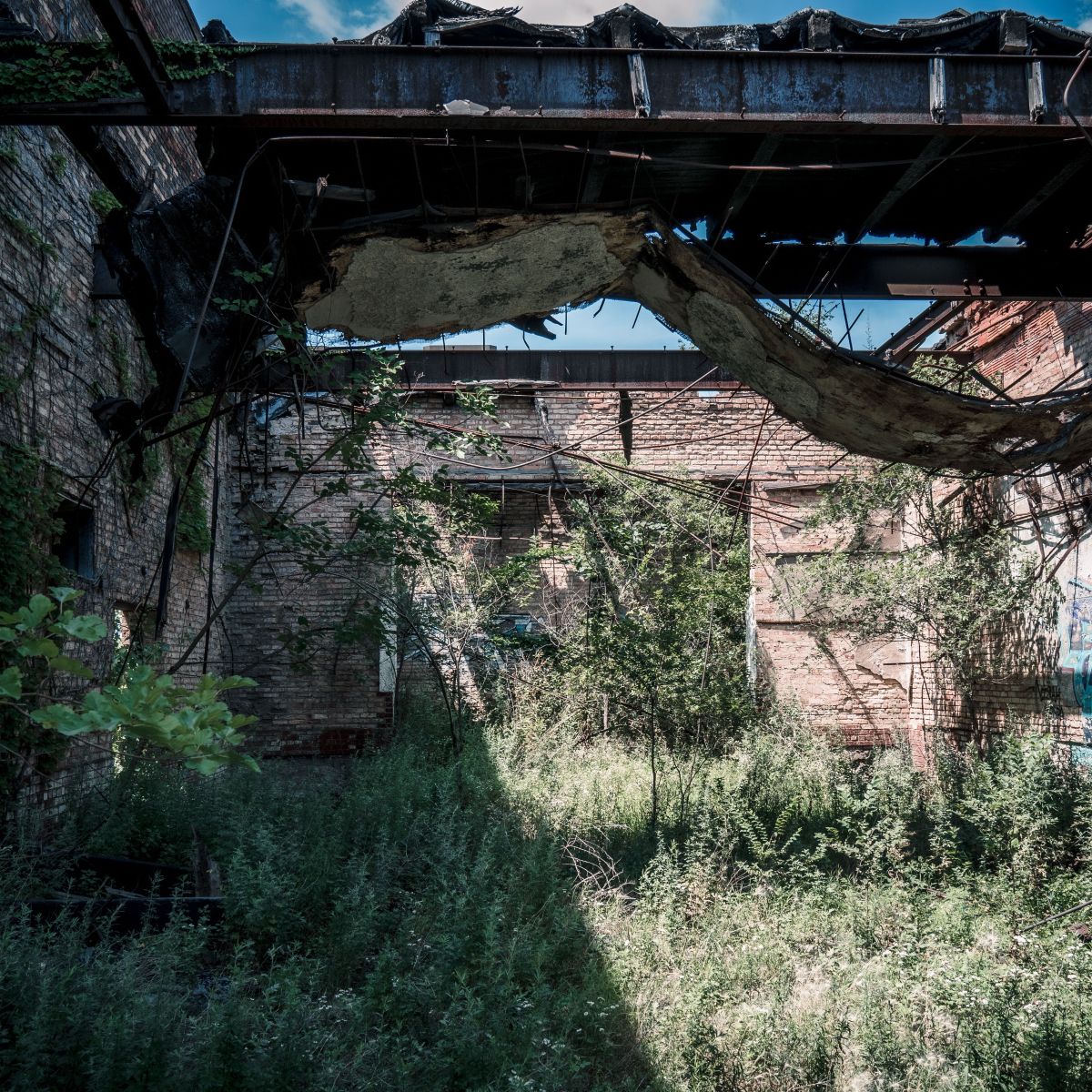 Ruins in a lost city
